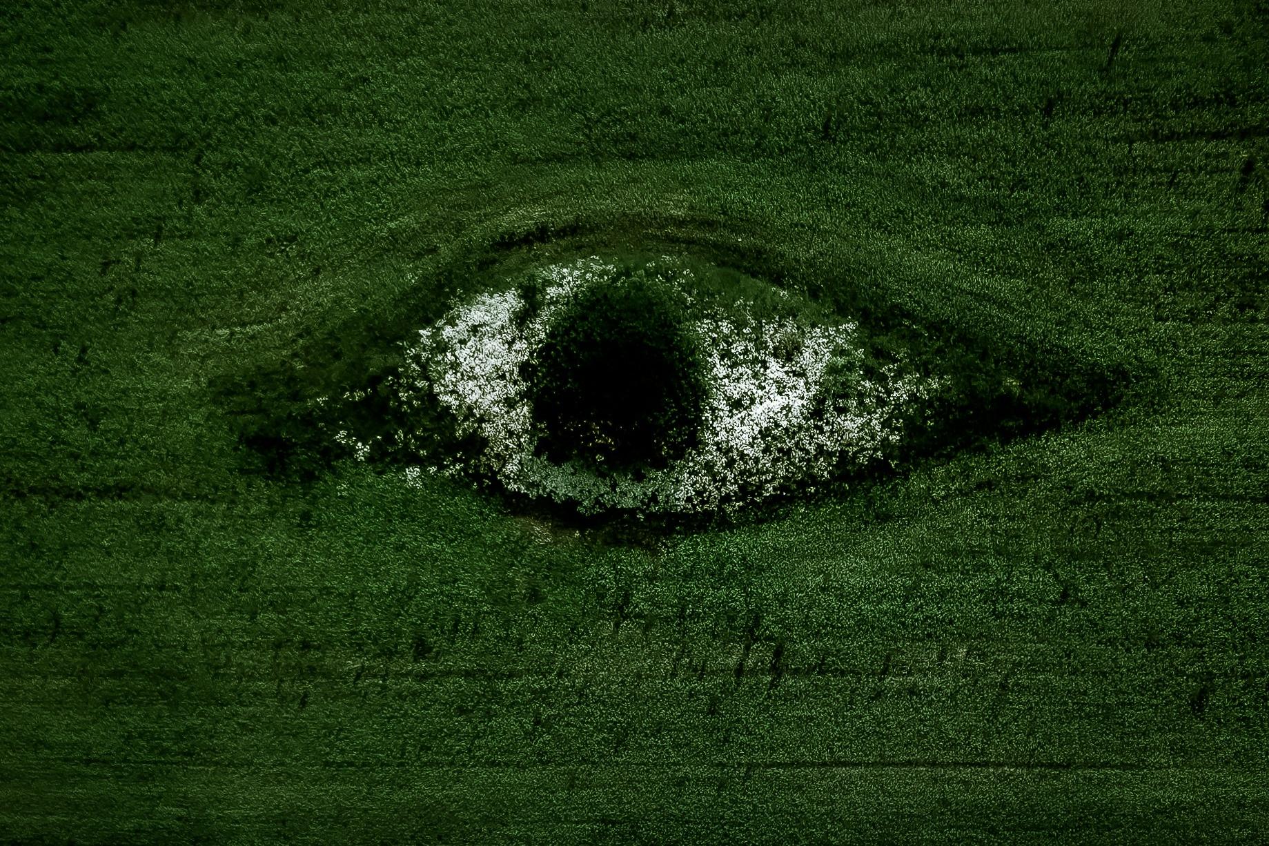 聚苯乙烯廢棄物回收:從污染到循環解決方案,EPS壓實機