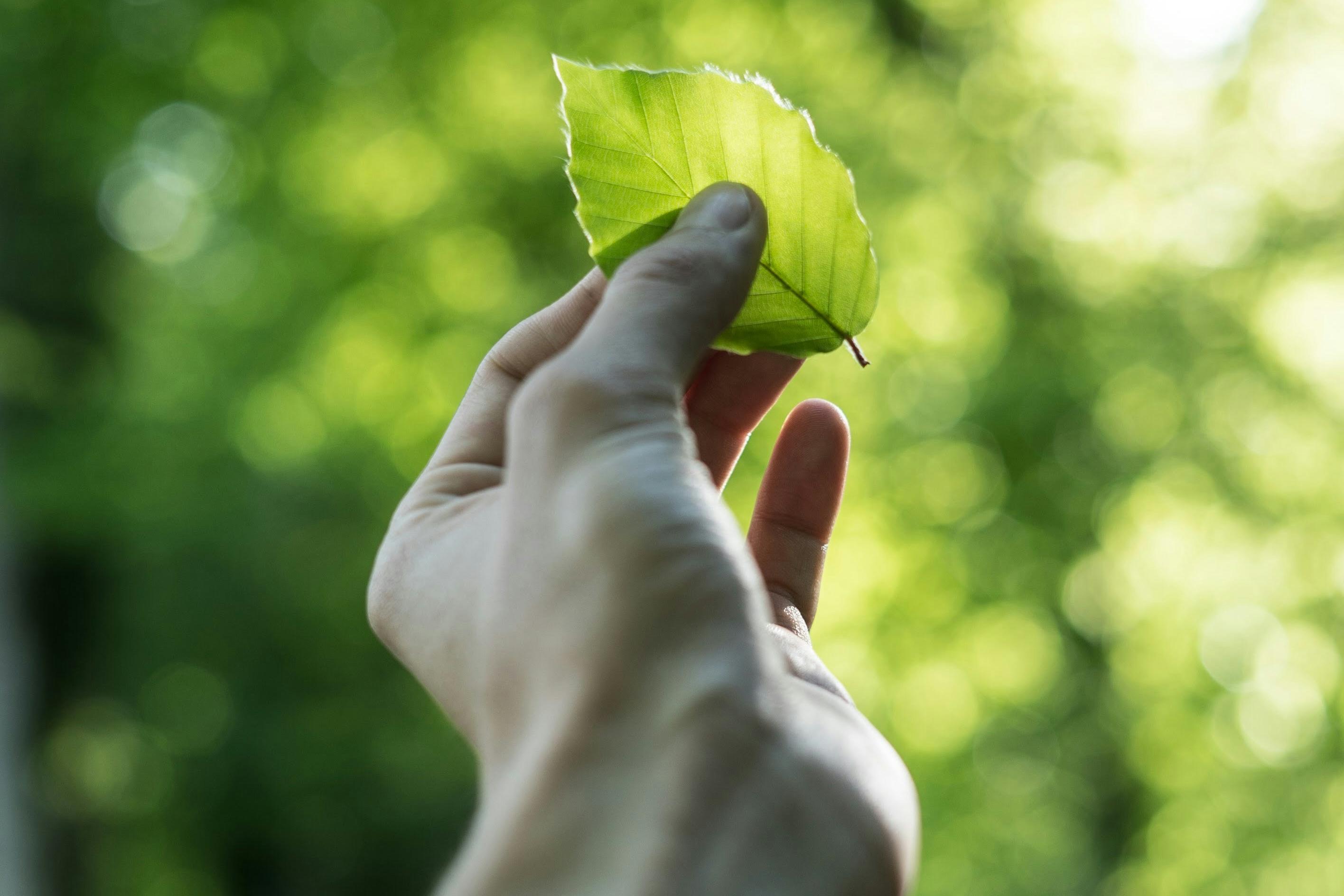 tobias-weinhold-hXPomXrpUP0-unsplash