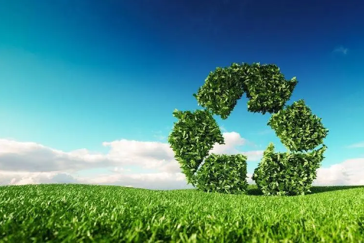 u=3771981368,3831747987&fm=253&fmt=auto&app=138&f=JPEG